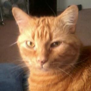 Meet your Posher, Wanda